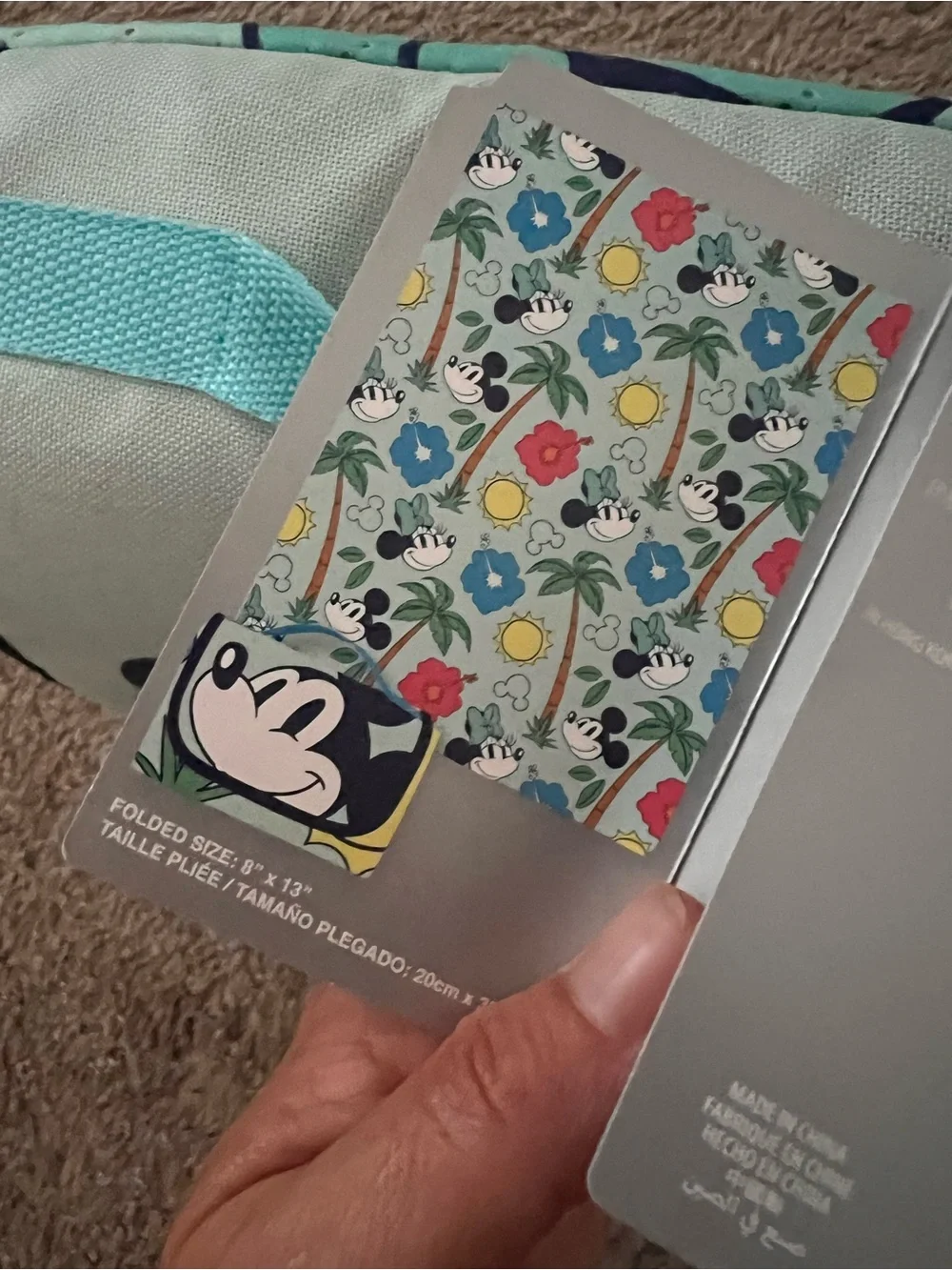 Disney foldable picnic